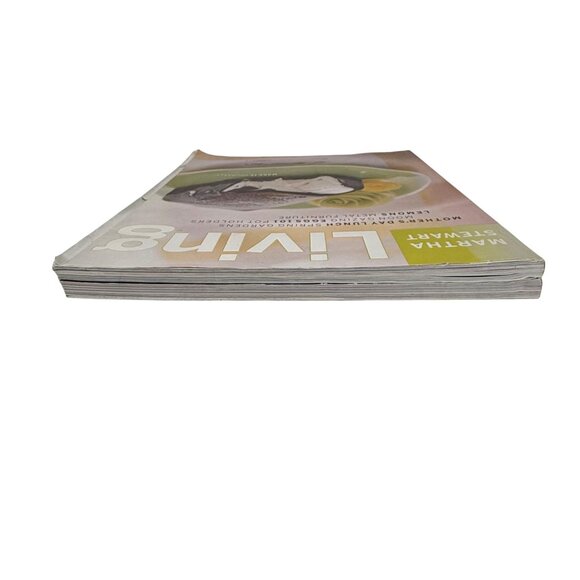 2 Martha Stewart Living Magazines May & November 1999 Thanksgiving Recipes Home - Picture 10 of 10